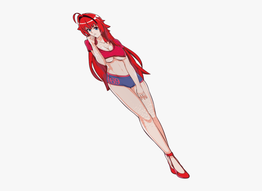 Macaw, HD Png Download