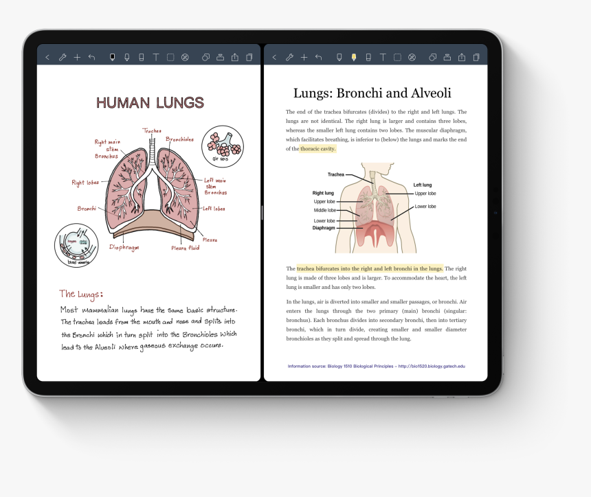 Diagram, HD Png Download