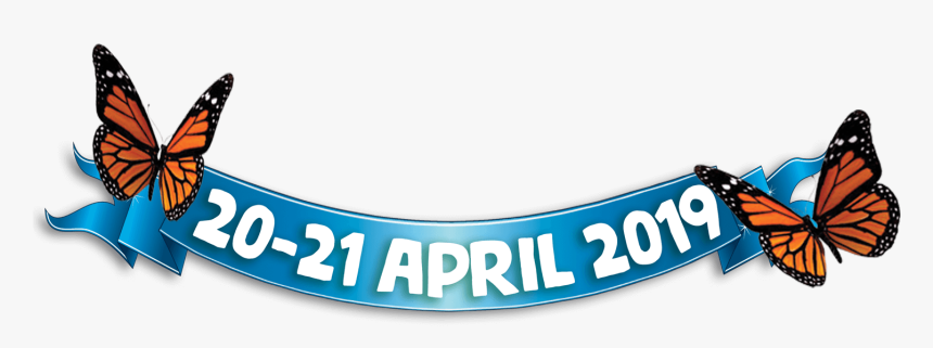 Circle, HD Png Download