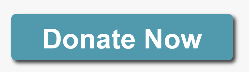 Picture - Donate Now, HD Png Download