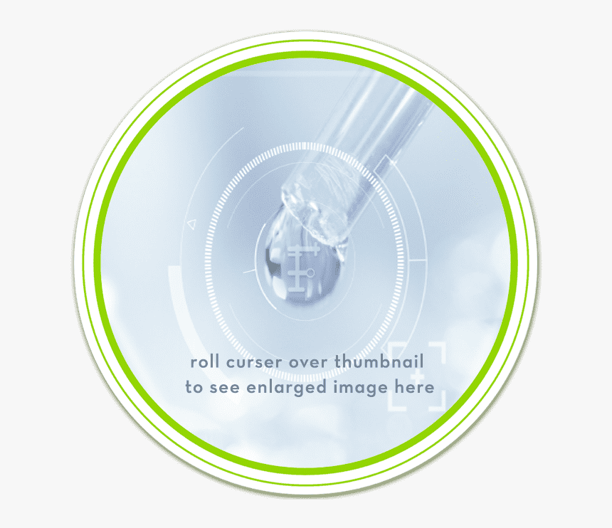 Circle, HD Png Download