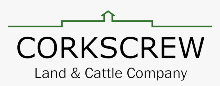 Corkscrewlogo2018-cutout - Fraxel, HD Png Download