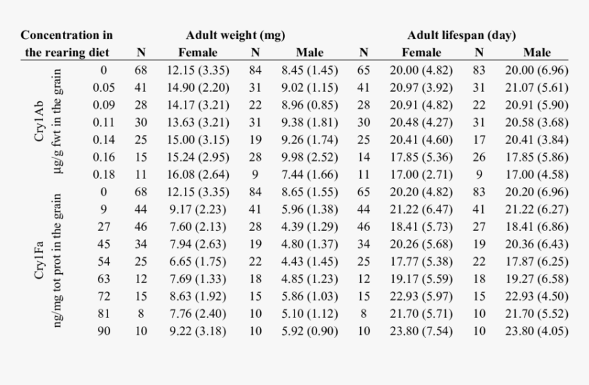 Document, HD Png Download