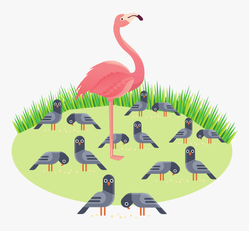 Greater Flamingo, HD Png Download