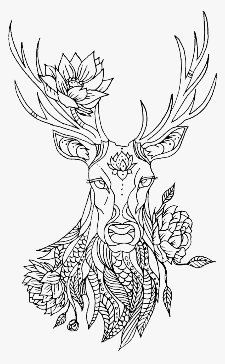 Sketch, HD Png Download