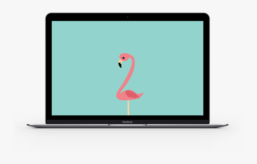 Flamingo Laptop - Led-backlit Lcd Display, HD Png Download