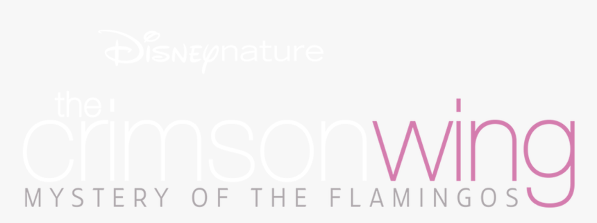 Graphics, HD Png Download