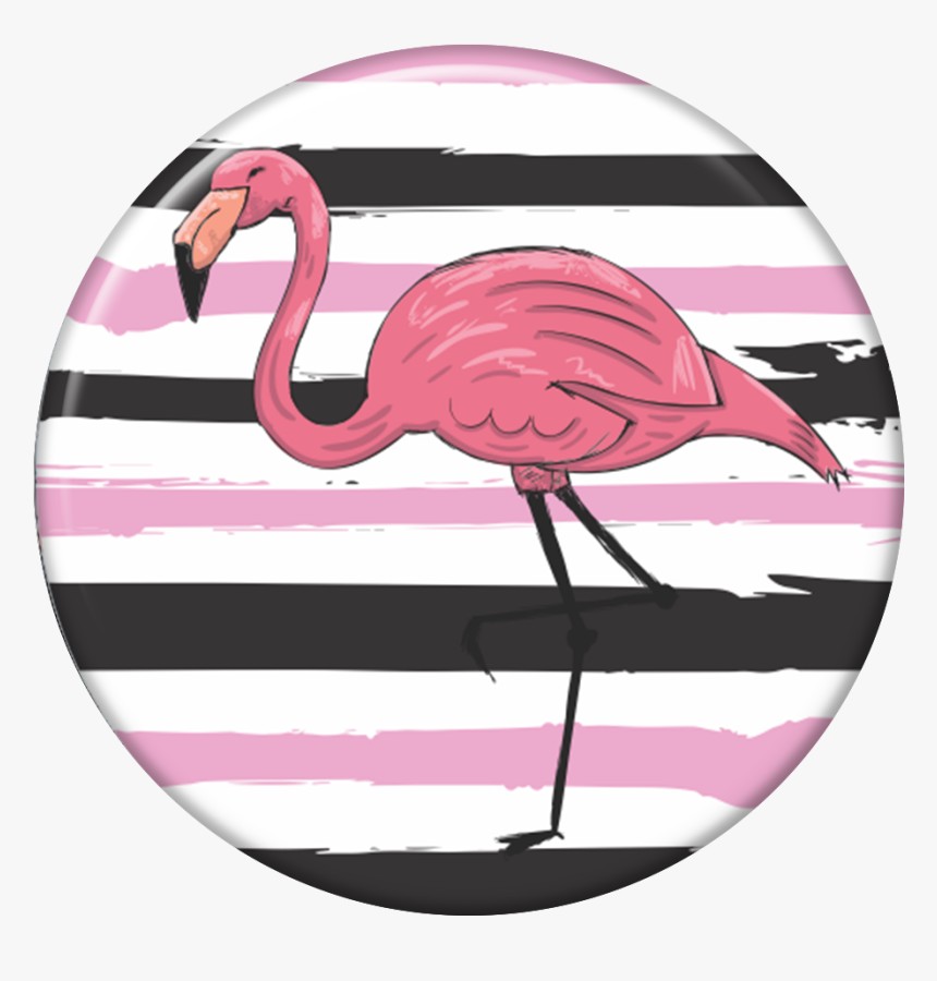 Greater Flamingo, HD Png Download