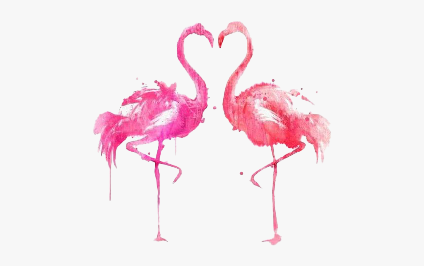 Flamingo Png Picture - Flamingos Png, Transparent Png
