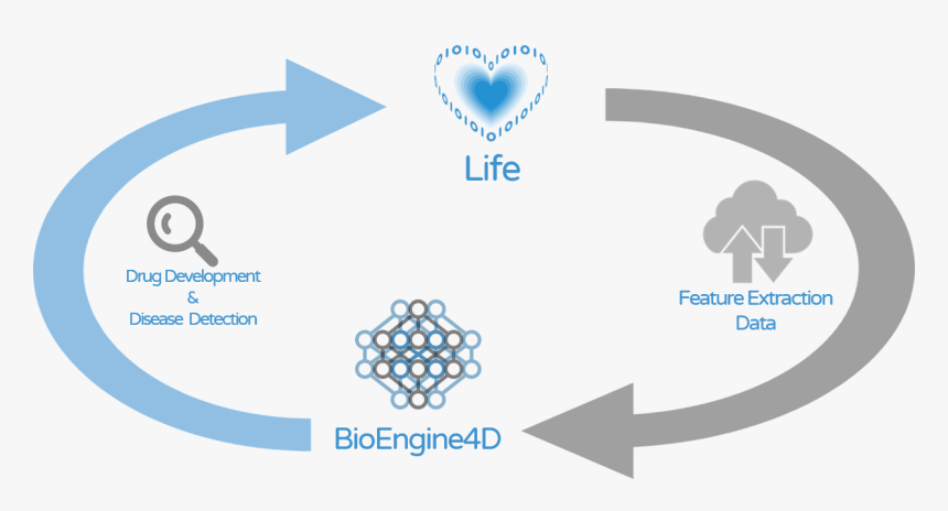 Graphic Design, HD Png Download