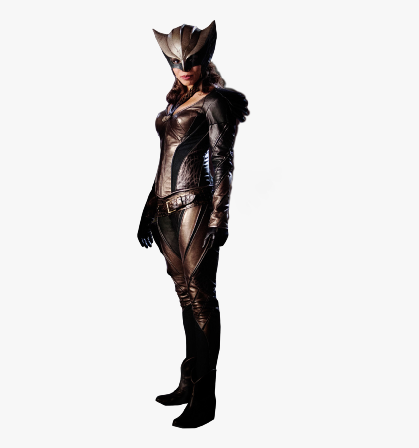 #hawkgirl #dc #cw #arrow #theflash #legendsoftomorrow - Hawkgirl Transparent, HD Png Download
