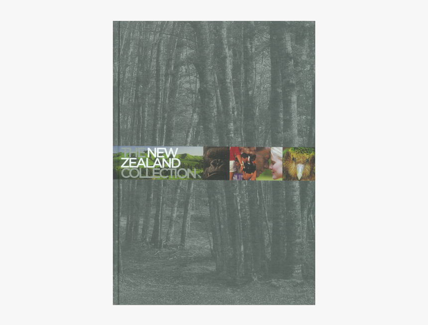 Forest, HD Png Download