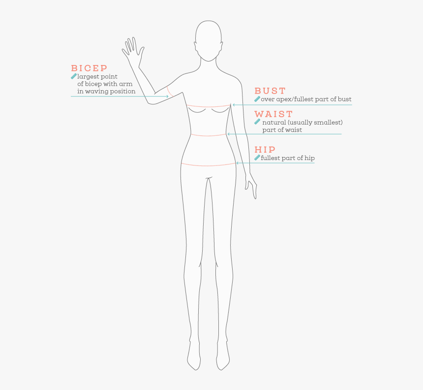 How To Measure Guide - Sketch, HD Png Download