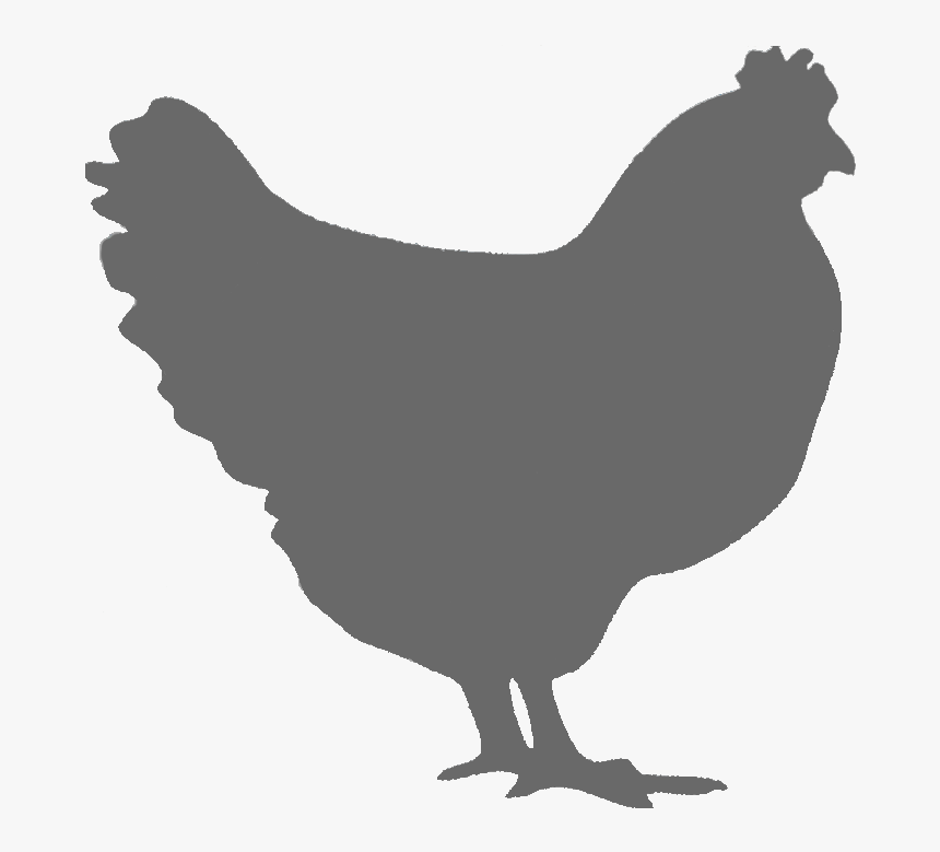 Roast Chicken Fried Chicken Rooster Image - Vector Chicken Silhouette Png, Transparent Png