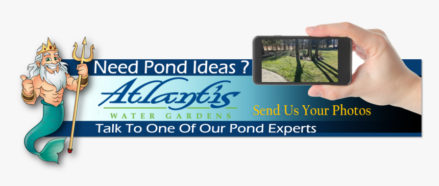 Picture - Pond, HD Png Download