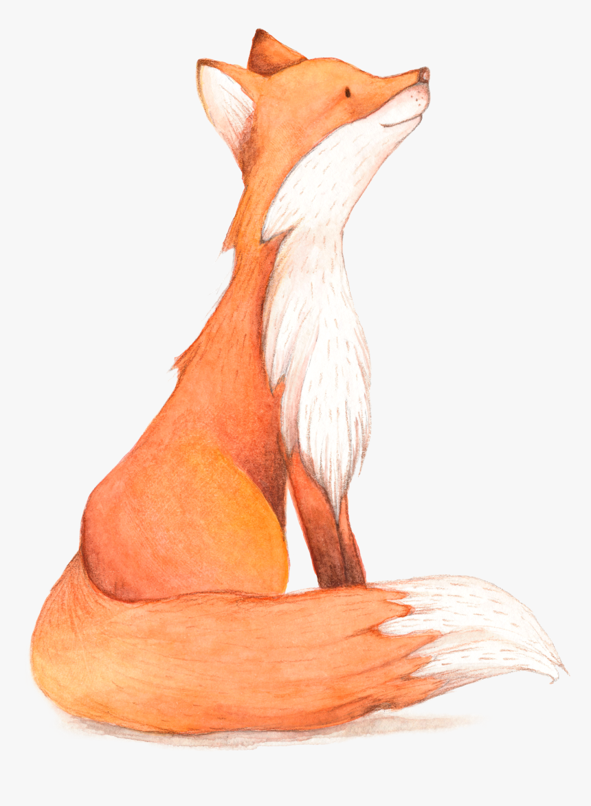 Birthday Fox Cartoon Illustration Hq Image Free Png - Cartoon Transparent Background Fox Png, Png Download