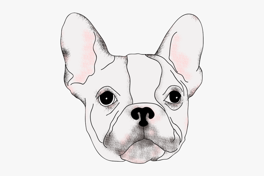 French Bulldog, HD Png Download