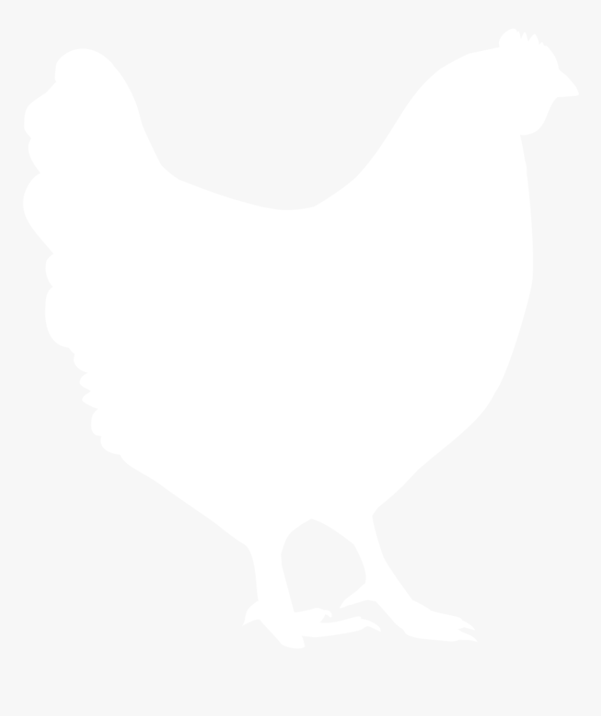 Happy Egg Co Raised With Love Chickens - White Hen Icon Png, Transparent Png