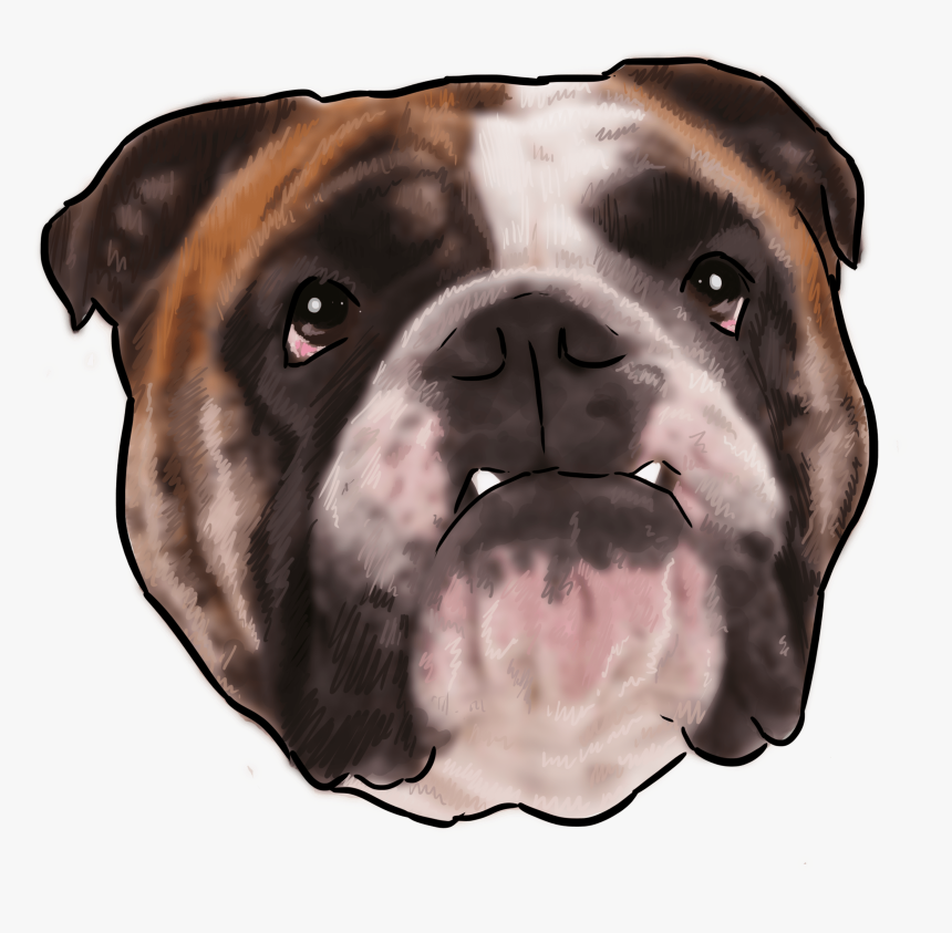 Australian Bulldog, HD Png Download