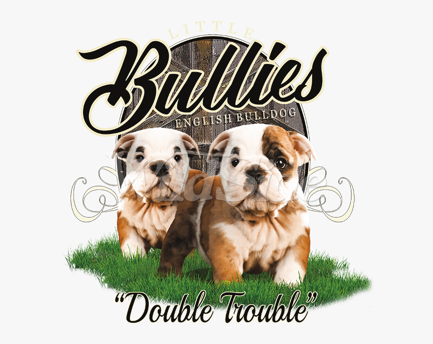 Australian Bulldog, HD Png Download