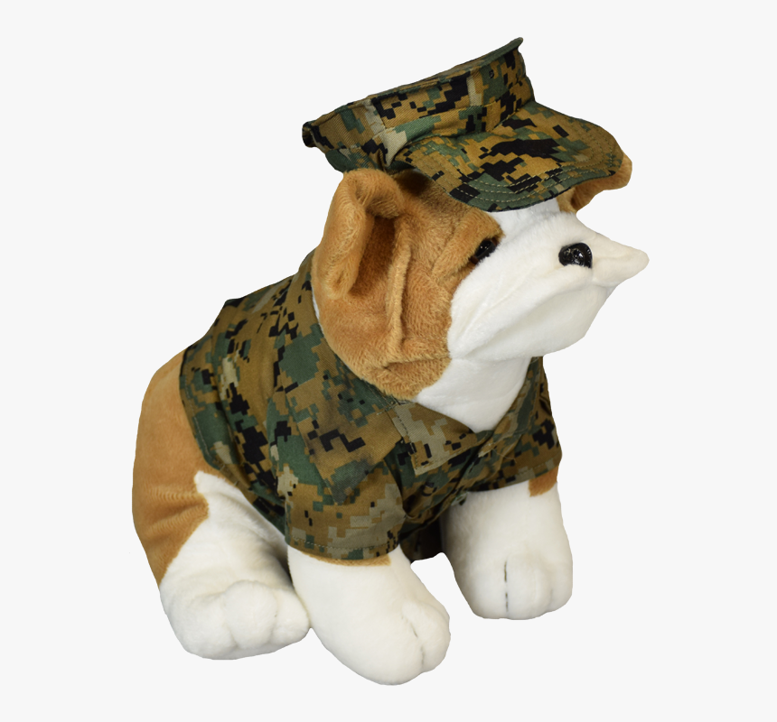 Dog Clothes, HD Png Download