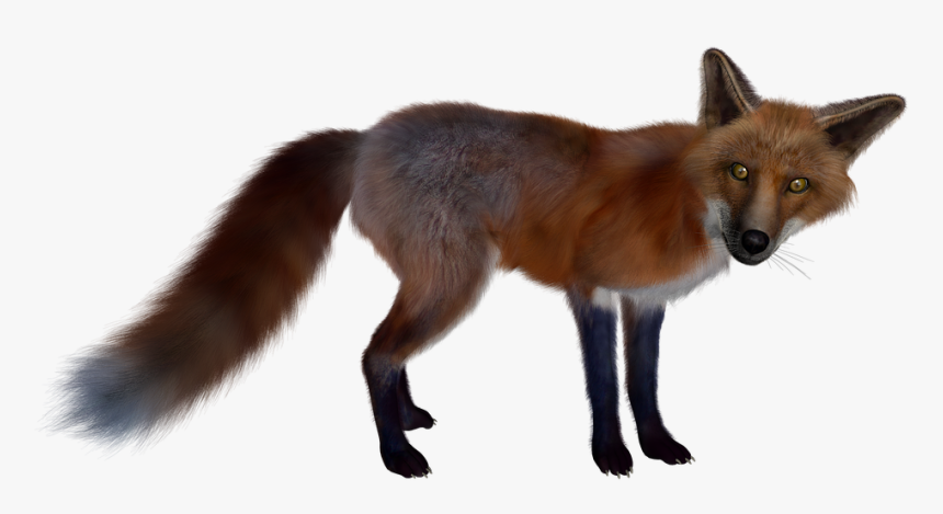 Download Fox Png Transparent Images Transparent Backgrounds - Figura De Un Zorro, Png Download