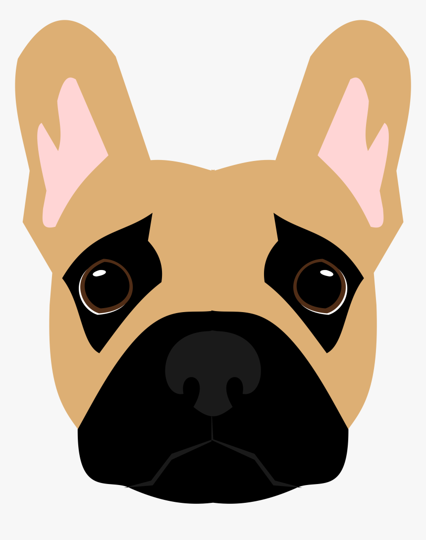 Paw Licking And Chewing In The French Bulldog - French Bulldog, HD Png Download