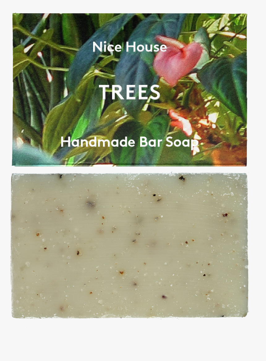 Trees Soap - Hardy Kiwi, HD Png Download