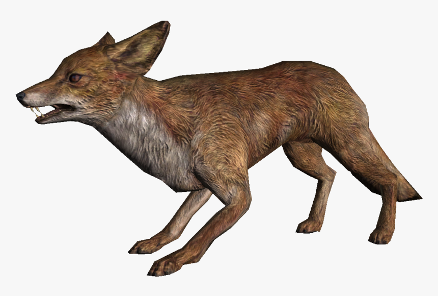 Fox - Fox Skyrim, HD Png Download