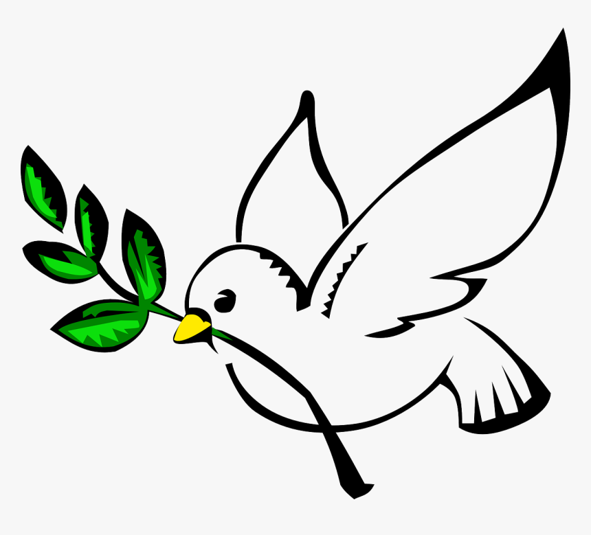 Paloma Clipart, HD Png Download