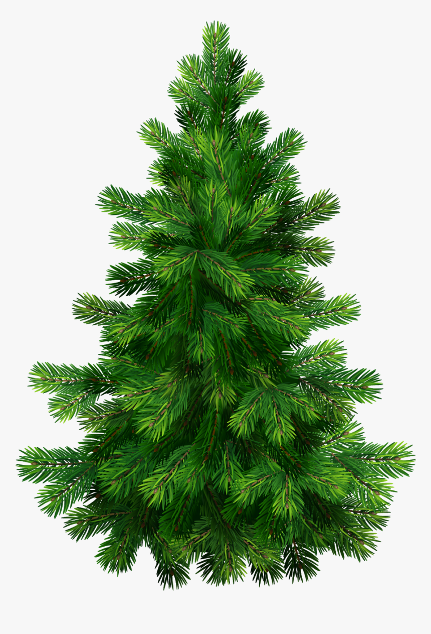 Christmas Tree Vector Png, Transparent Png