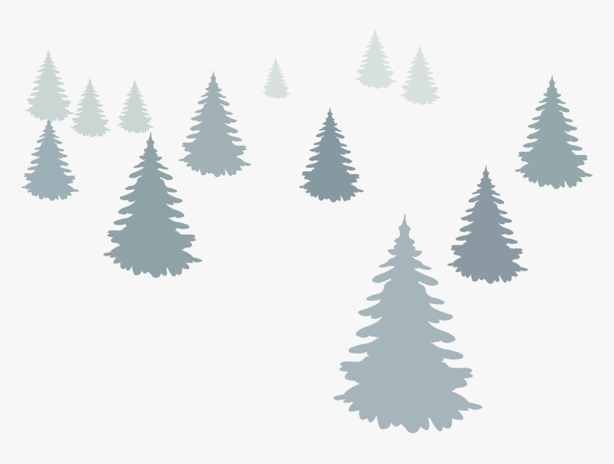 Christmas Tree Fir Illustration - Christmas Tree, HD Png Download