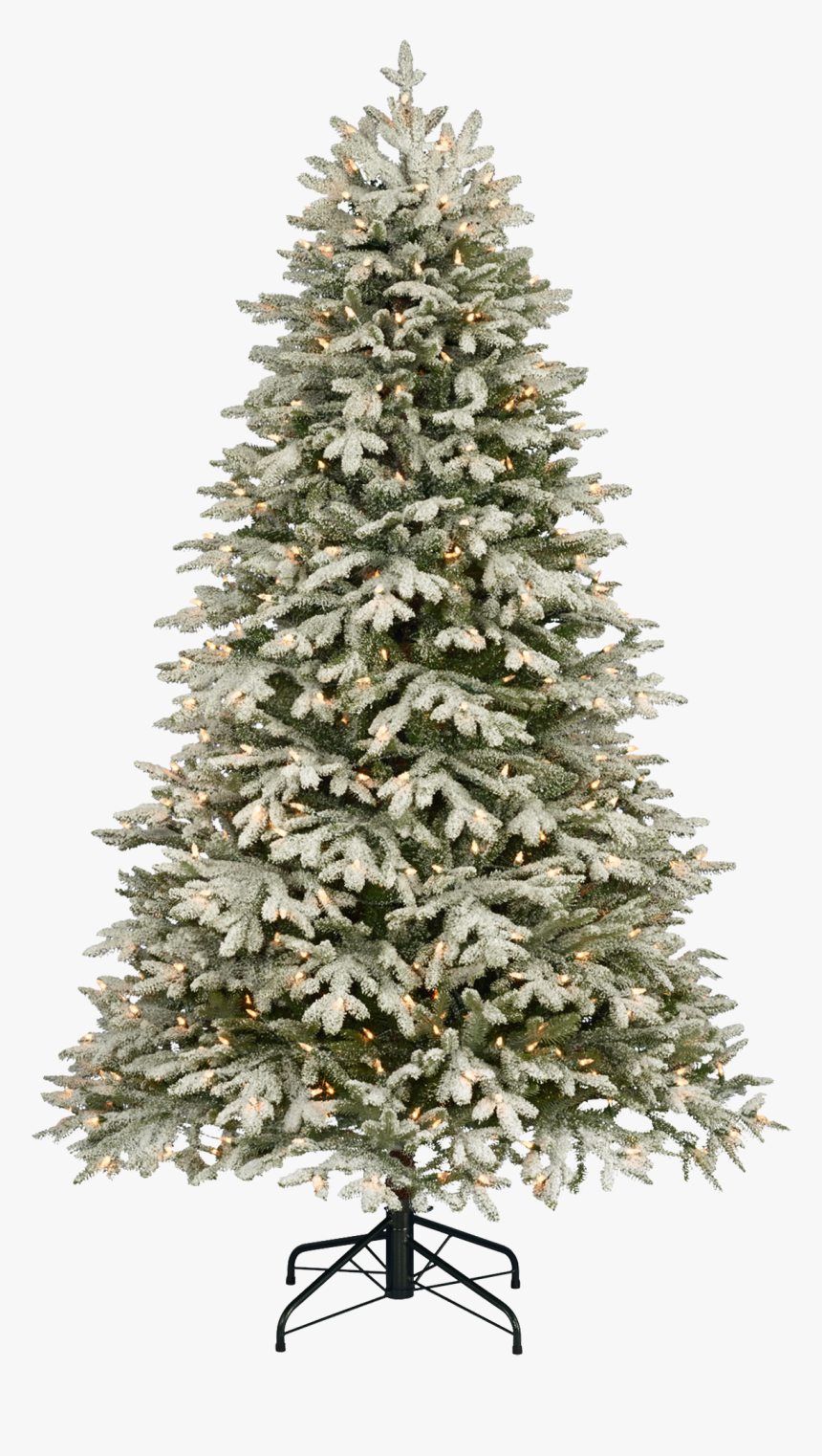 Christmas Tree Png Image - Merry Christmas 2019 Words, Transparent Png