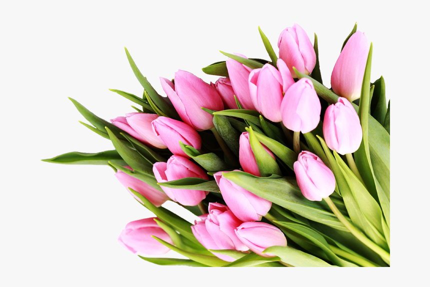 Congratulation Quotes For New Business, HD Png Download