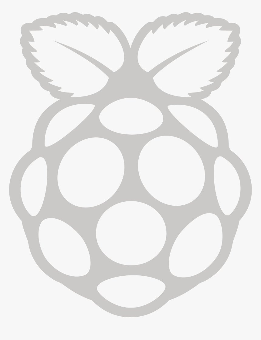 Raspberry Pi Logo Icon