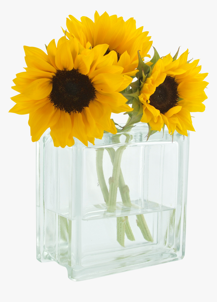 You Are My Sunshine - 3 Sunflowers In A Vase, HD Png Download