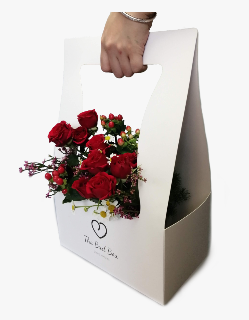 Garden Roses, HD Png Download