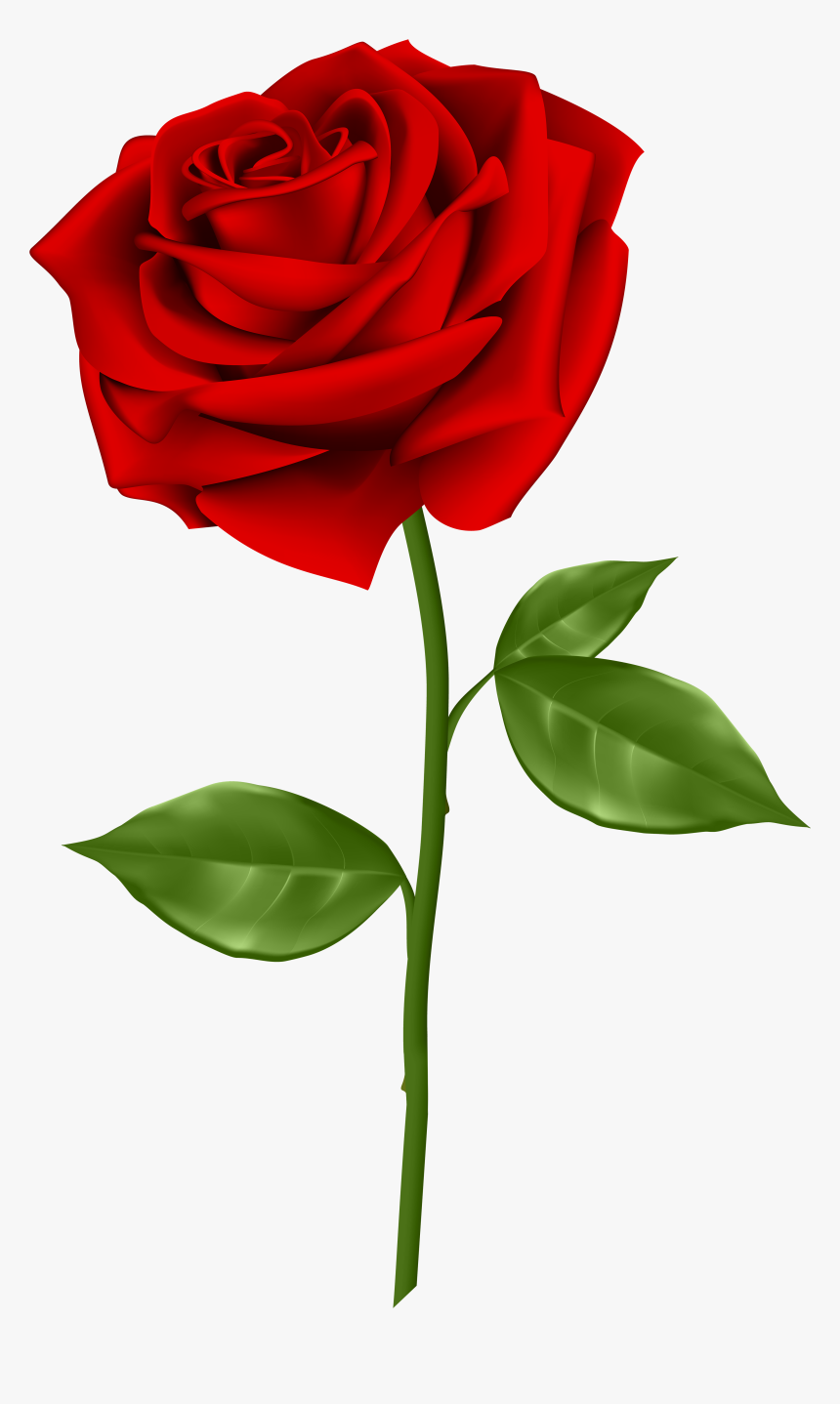 Clipart Flower Beautiful - Red Rose Transparent Png, Png Download