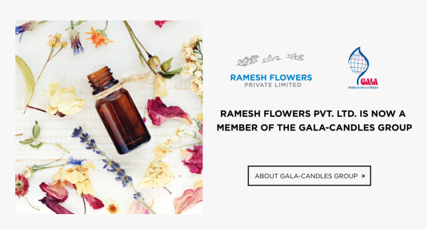 Guldasta Flowers Png - Ramesh Flower Pvt Ltd, Transparent Png