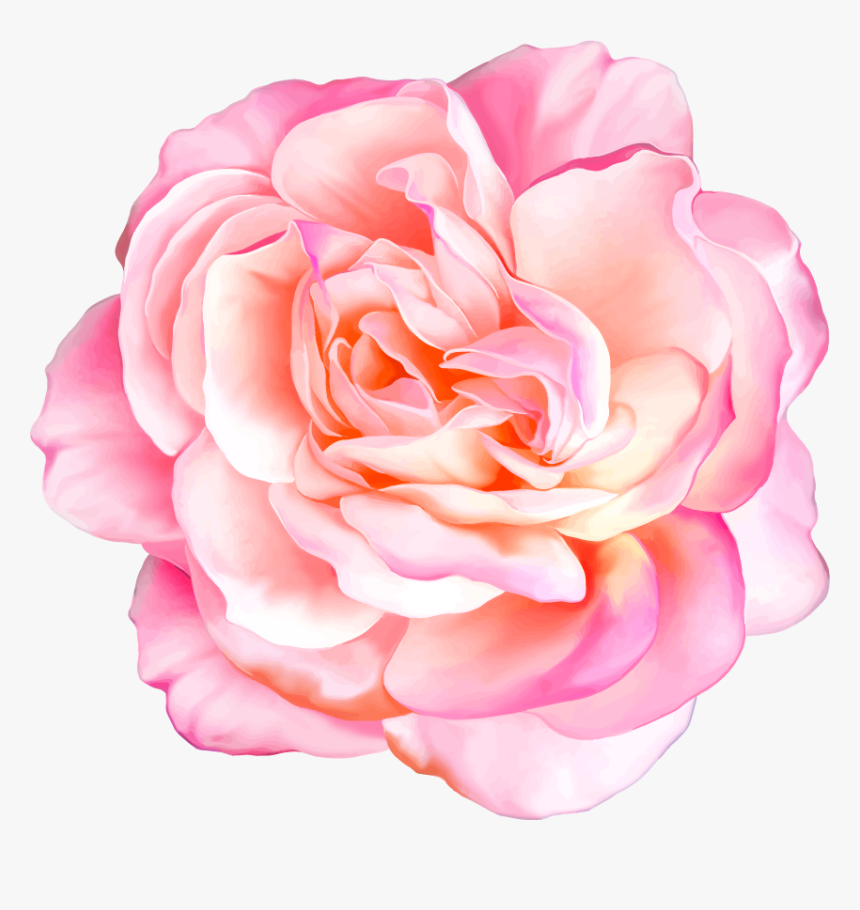Png Клипарт Beautiful Flowers - Realistic Flowers, Transparent Png