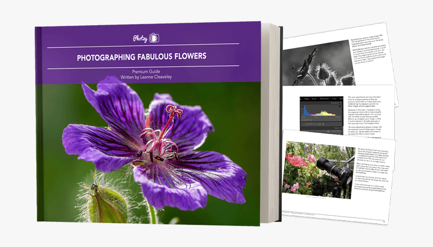 Geranium Cinereum, HD Png Download