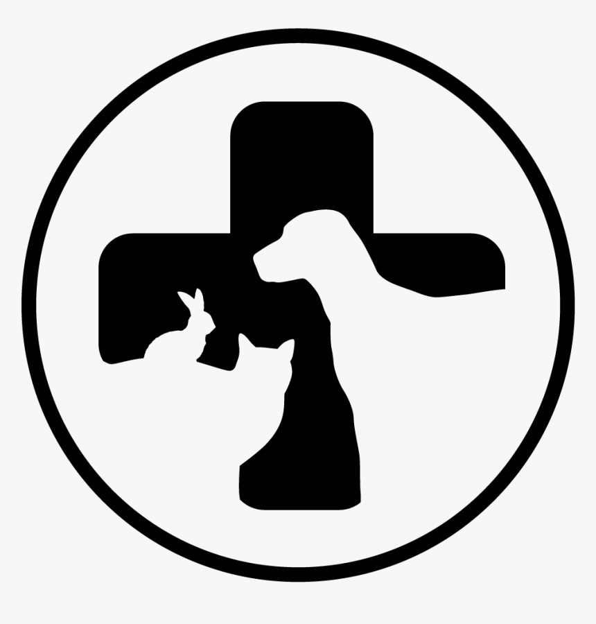 Christina Started Working At Shamrock In September - Veterinarian Clip Art, HD Png Download