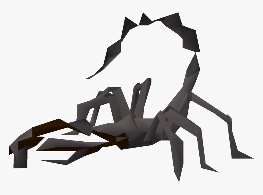 Araneus, HD Png Download
