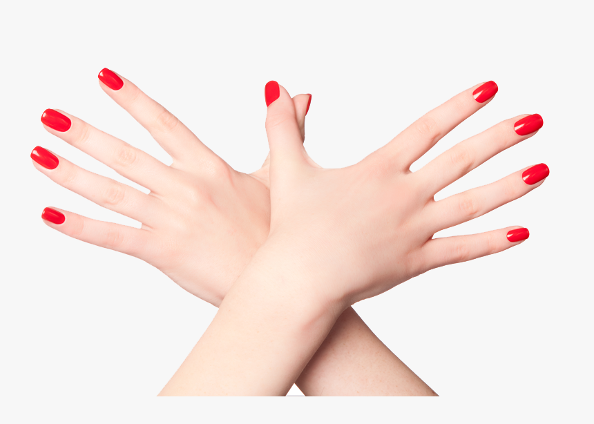 Nails Png - Bio Sculpture Hazy Forest Colour, Transparent Png