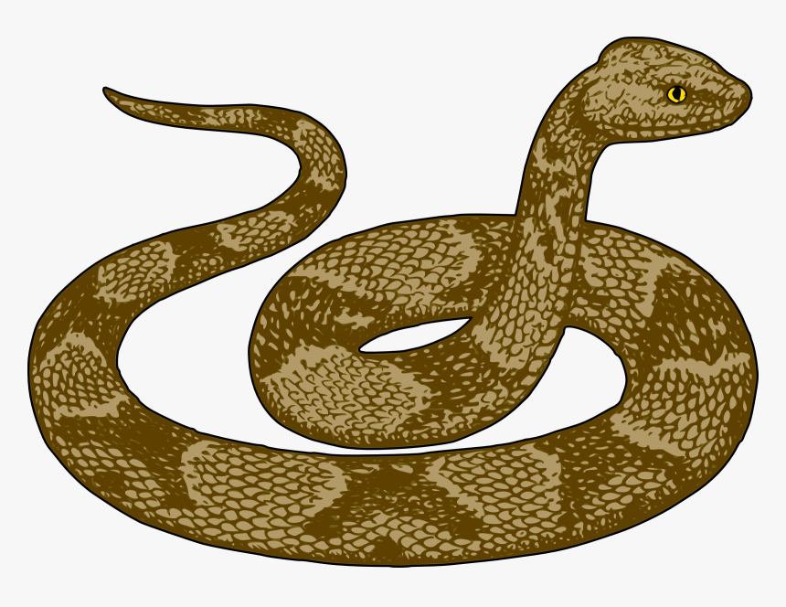 Snake Clip Art Adiestradorescastro Com Clipart - Desert Snake Clipart, HD Png Download
