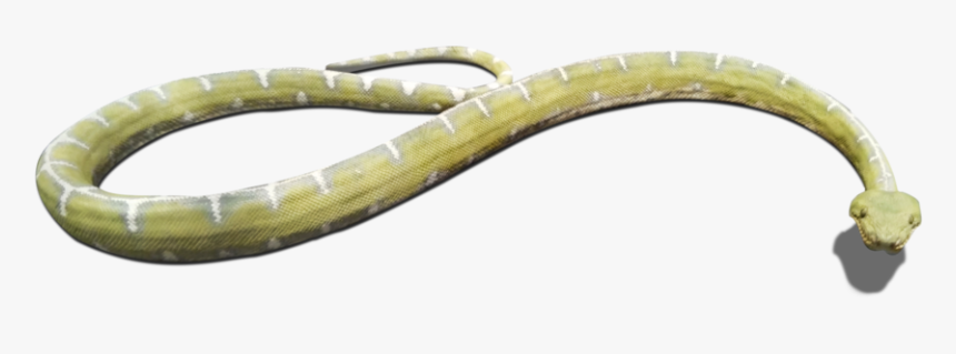 Download And Use Snake Png Clipart - Grass Snake, Transparent Png