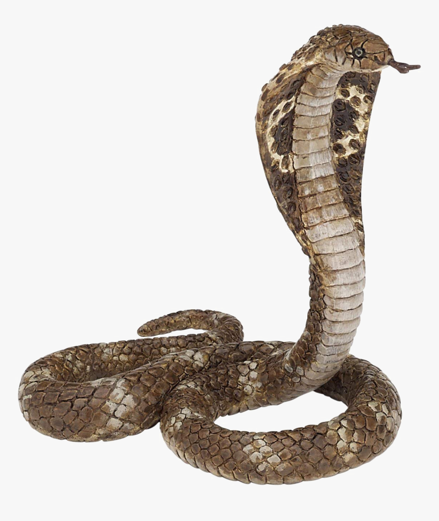 King Cobra Png Clipart - King Cobra Png, Transparent Png