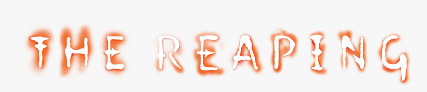 Orange, HD Png Download