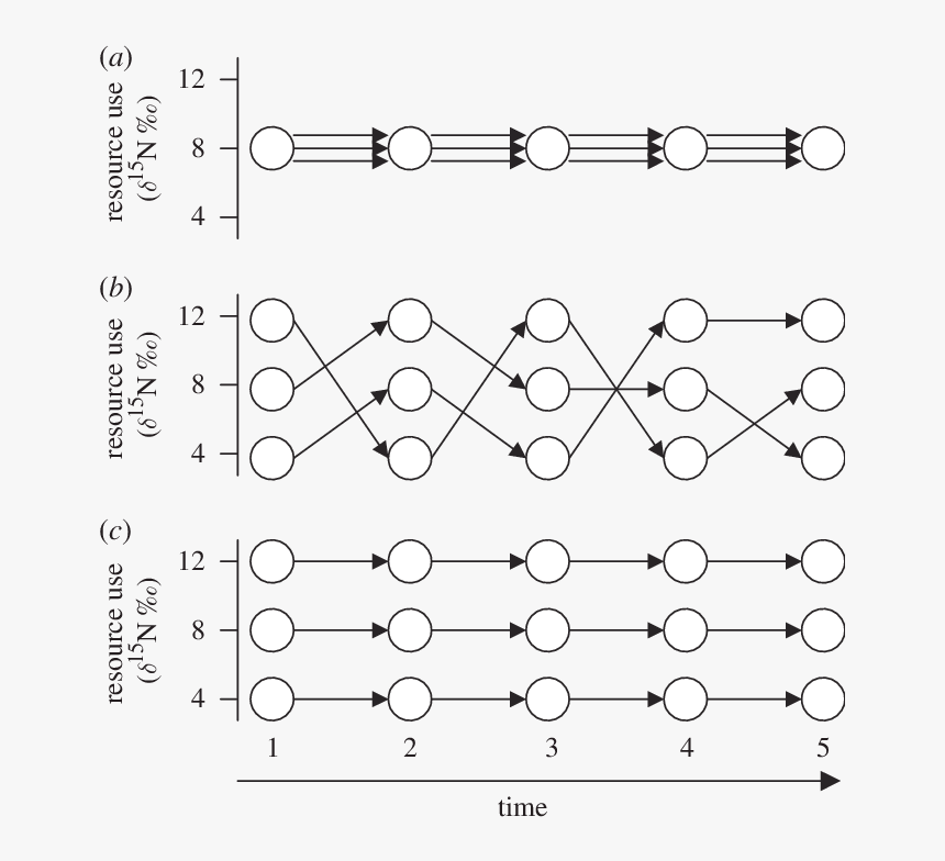 Circle, HD Png Download