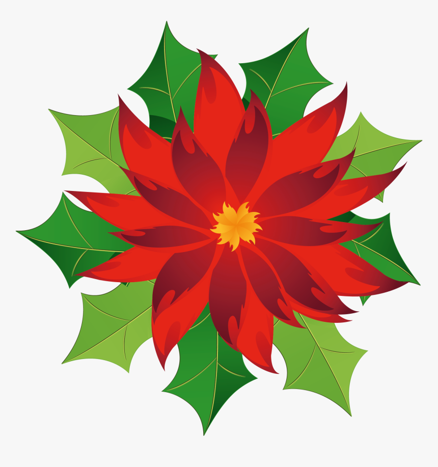 Christmas Poinsettia Clipart - Poinsettia Clipart Png, Transparent Png
